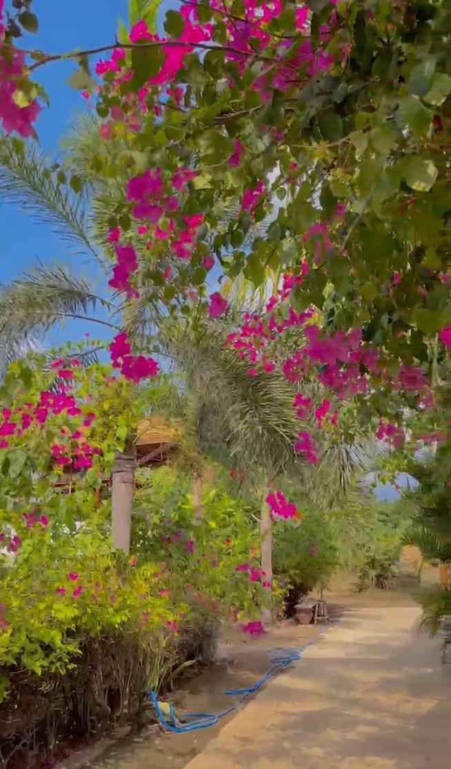 Sea Breeze Villas - Gili Air, Lombok Exterior foto